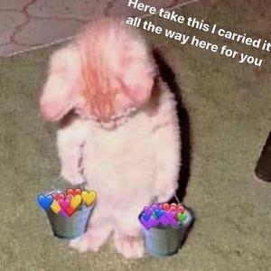 国产成人美女视频网站
